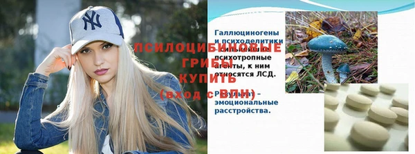 дживик Армянск