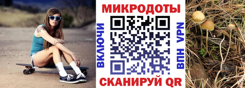 Псилоцибиновые грибы прущие грибы  Фатеж 